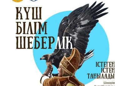 photo_5442654941031293453_y