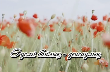  экрана 2024-08-24 122601